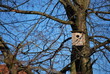 Vogelkasten