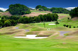golf place with nice green