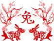 Papercut of Rabbit Lunar year