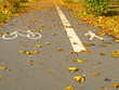 Fahrrad- und Fußweg im Herbst