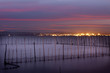 La Albufera