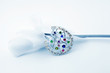 Elegant female jewelry