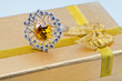 Elegant female jewelry