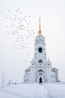 Pigeons fliyng over Assumption Cathedral