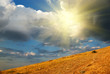 Hill and sunshine Hill and sunshine