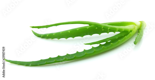 Photo: Aloe vera Aloe vera