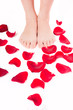 Beautiful woman legs with rose petals