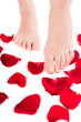 Beautiful woman legs with rose