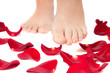 Closeup of Beautiful woman legs with rose