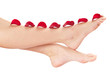 Beautiful woman legs with rose