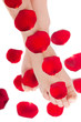 Beautiful woman legs with rose