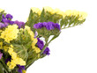 Statice flowers - Limonium Sinuatum