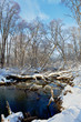 Trees over the river after a sleet