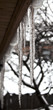 Icicles