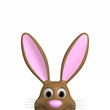 schüchterner Hase