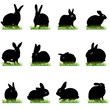 rabbits silhouettes rabbits silhouettes