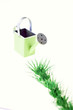 arrosage du jardin