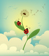 two ladybird reaching the top of a dandelion among the clouds two ladybird reaching the top of a dandelion among the clouds