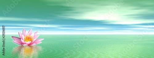 Illustration: Lily flower in green ocean Lily flower in green ocean