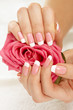 Hands with a rose