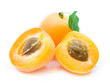 apricots