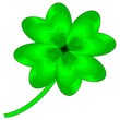 Shamrock