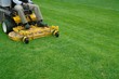 lawn mowing