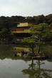 Kinkakuji Temple / The Golden Pavilion,  Kyoto, Japan