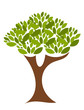 Tree illustration