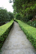 Path in the park