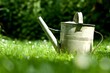 Watering can on grass - spring concept