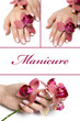 collage.Beautiful hand with perfect manicure and purple orchid f
