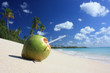 Noix de coco des Caraïbes