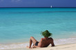 Homme libre aux Caraïbes