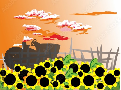 Vector: girasoles girasoles
