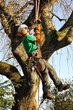 arboriculteur 4
