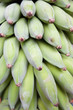 Bananenstaude
