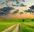 Summer landscape with green grass, road and dramatic sky