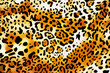 crazy leopard wallpaper