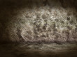 Illustration: kellerwand 2 kellerwand 2