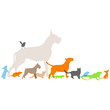 nouveaux animaux de compagnie