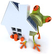 Grenouille et maison