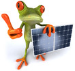 Grenouille et panneaux solaires