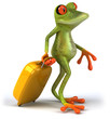 Grenouille et valise