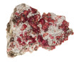 Photo: Granat rot Granat rot