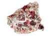 Photo: Granat rot Granat rot