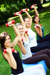 Young and attractive womans doing fitness exercises