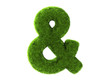 Grass & Grass &