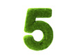 Grass five Grass five