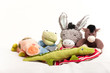 Kuscheltiere